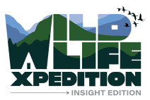 Wild Life Expeditions