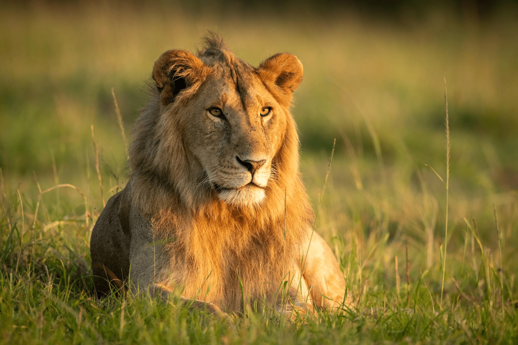 Conservation And Community Initiatives